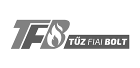 Tz Fiai Bolt